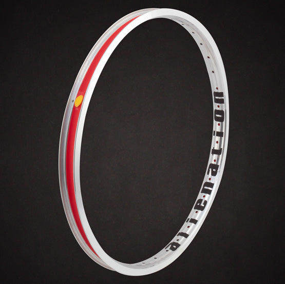 Rim Alienation Malice 20" 36H Plata