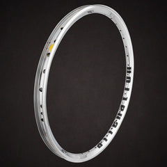 Rim Alienation Mischief 20" 36H Plata